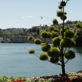 Lago dal Parco Ciani