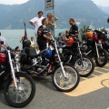harley62