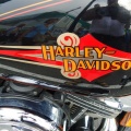 harley65