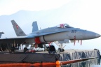 GIORNATE DELL'ESERCITO