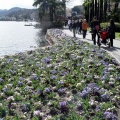 Parco Ciani