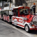 Trenino turistico