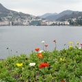 Nel parco