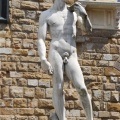 Il David di Michelangelo (1501-1504)