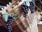 FESTA DELLA VENDEMMIA 2008 A LUGANO