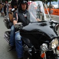 harley15