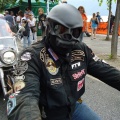 harley16
