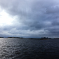 IMG 0424